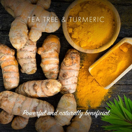 Săpun Natural, Friendly Soap, Tea Tree și Turmeric, 95g