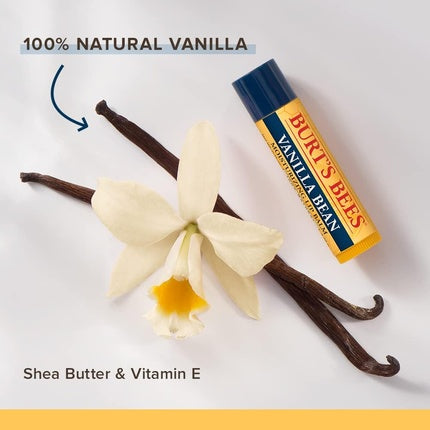 Balsam de buze Burt's Bees Vanilla Bean, 4.25g