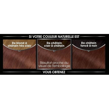 Vopsea de păr Garnier Olia, Chestnut, fără amoniac, 270 g