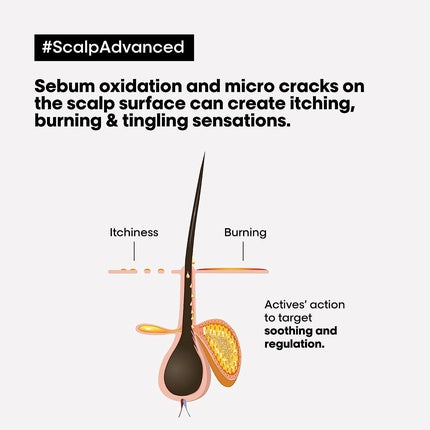 Sampon, L'Oréal Professionnel, Dermo-Shampoo Scalp Advanced, 500ml