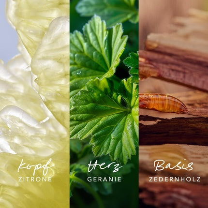 Perfum Mexx Inspired Nature, EDP pentru bărbați