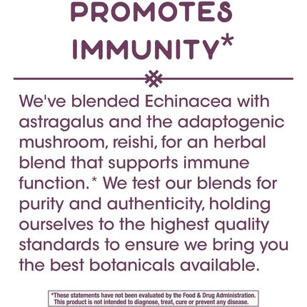 Vitamine, Natures Way, Echinacea Astragalus Reishi, mov