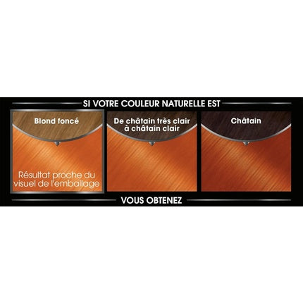Vopsea de Păr Garnier Olia, Permanentă, fără Amoniac, Culoare Cupru 74, 50ml