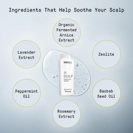 Șampon, Framesi, Morphosis Scalp, 250ml