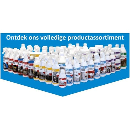Dizolvant Silicon HG 100ml Alb