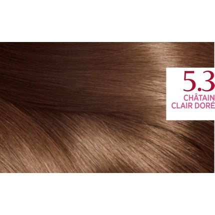 Vopsea păr, L'Oréal Paris Excellence Crème, Chestnut 5.30, Light Golden Brown