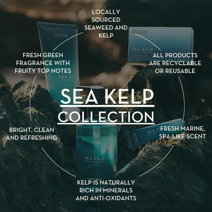 Spălător de Mâini Sea Kelp Refill 750ml - Scottish Fine Soaps