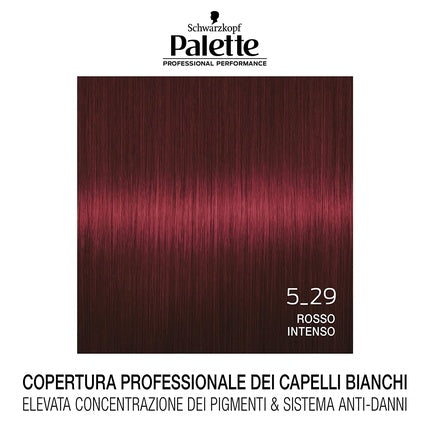 Vopsea de par, Schwarzkopf, Palette Professional Performance 5_29, Rose