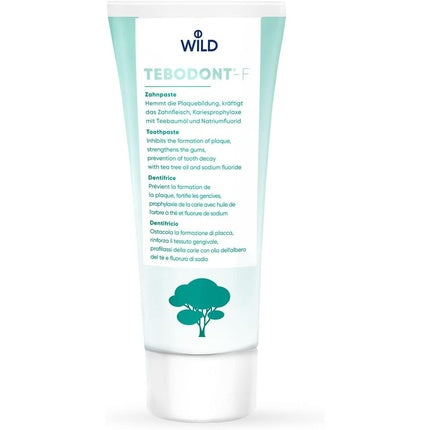 Pastă de dinți fluorurată Tebodont-F, 110 g