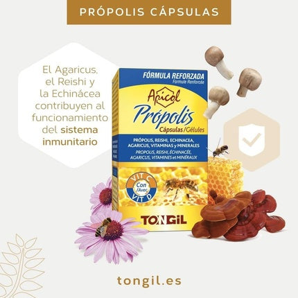 Loțiune hidratantă, Tong-Il, Apicol Propolis 40 Pearl, 225g