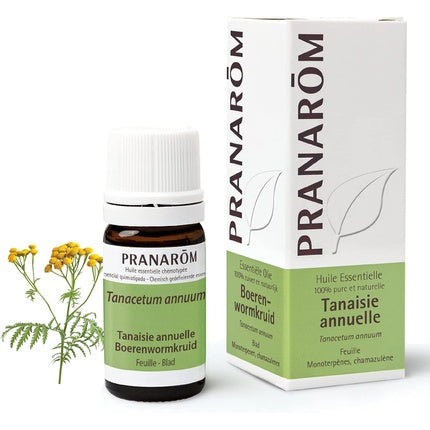 Ulei esențial, Pranarôm, Annual Tansy, 5ml