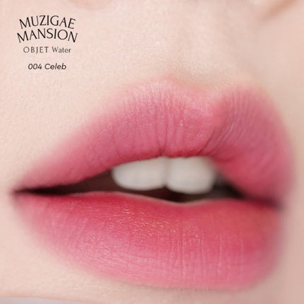Ruj Objet Water Lip Stain Matte, 004 Cellup, Roșu Intens