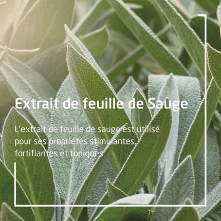 Gel gingival Weleda Sage Balsam Gum