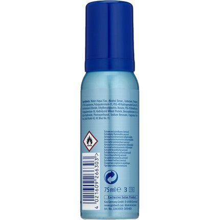 Mousse Goldwell Colour Styling Pearl Grey 75ml