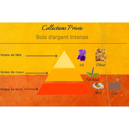 Parfum Collection Privée BA Intense 100ml
