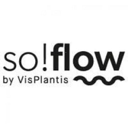 Șampon, Vis Plantis, So!Flow, lila, 400 ml