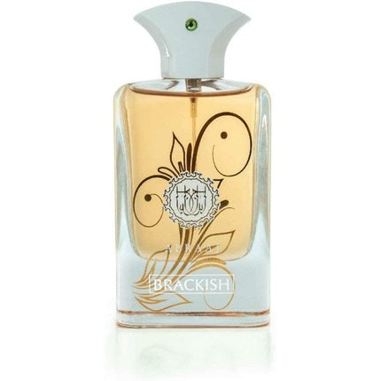 Parfum bărbați, FW Abraaj Brackish, 100ml, cutie decorativă