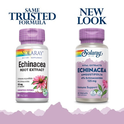 Extract Echinacea, Solaray, 60 capsule, lila