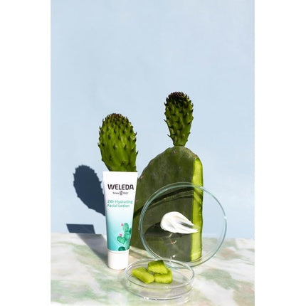 Lotiune fata bio 24h, Weleda, 30ml