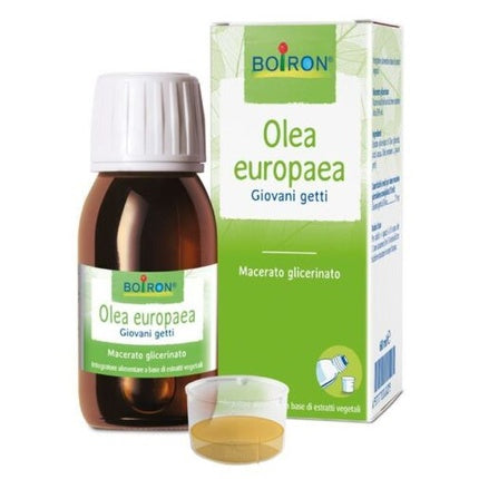 Ulei corp, Boiron, Olea europaea, Macerat glicerinat, 60 ml