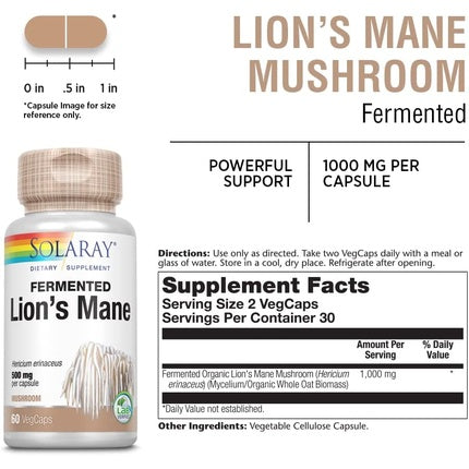 Supliment alimentar Solaray, Lion's Mane, 60 capsule vegane