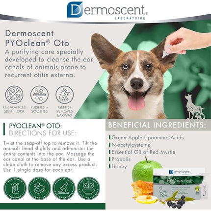Dermoscent Pyoclean Oto, Soluție Curățare Urechi Câini, 80 ml