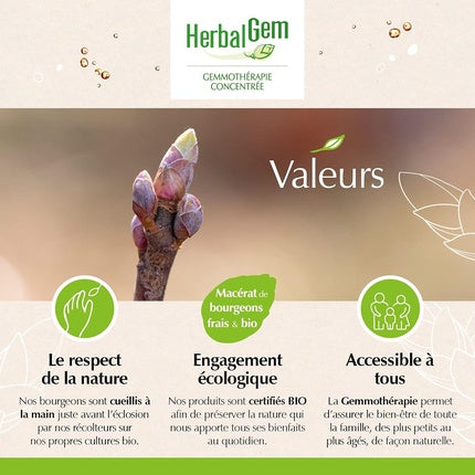 Ulei Facial Herbalgem Organic Pine 30ml