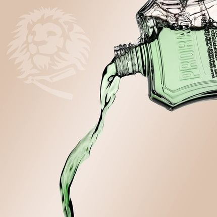 Lotiune After Shave, Proraso, cu Ulei de Eucalipt si Mentol, 100ml
