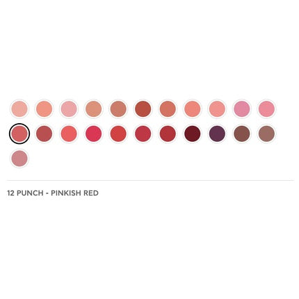 Radiant Professional Advanced Care Lipstick Ultra Nourishing Moisturizing Long Lasting Matte 12 Punch Pinkish Red