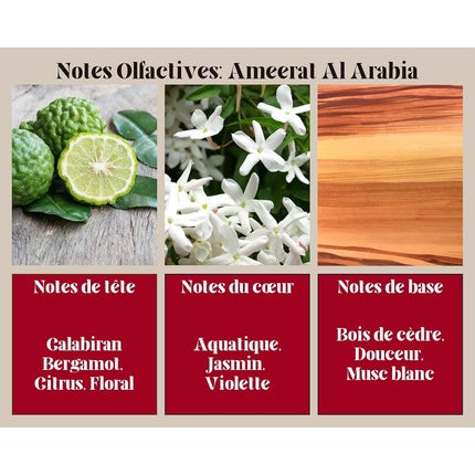Ayat Perfumes Ameerat Al Arabia, 100ml, EDP, Parfum pentru femei, oriental arabesc