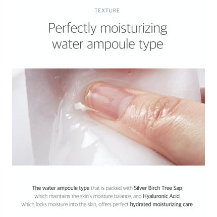 Round Lab Birch Juice Moisturizing Mask - Pack de 10