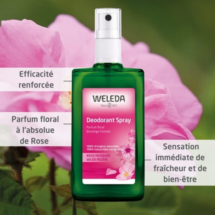 Weleda Rose Deodorant Spray Duo 100ml - Set de 2 Butoiașe Verzi