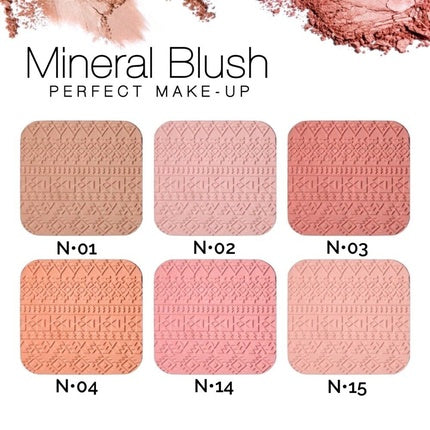 Blush Mineral Perfect Matte Makeup - Roz