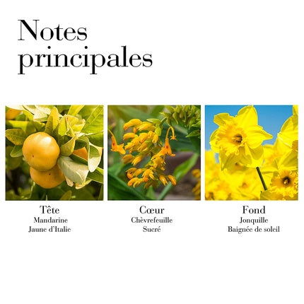 Apa de Toaleta, Elizabeth Arden, Sunflowers Sunlight Kiss, 100ml