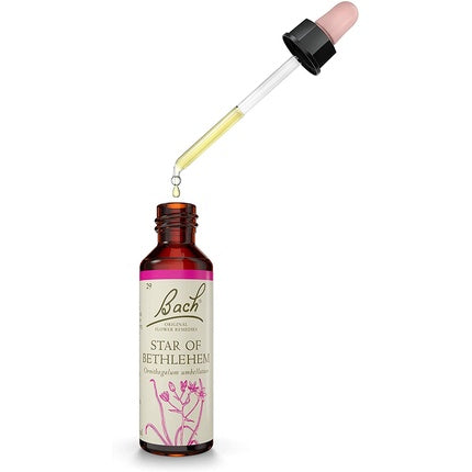Remediu cu Flori Bach Pine, Nelson Homeopathics, 50ml, Sticlă maro