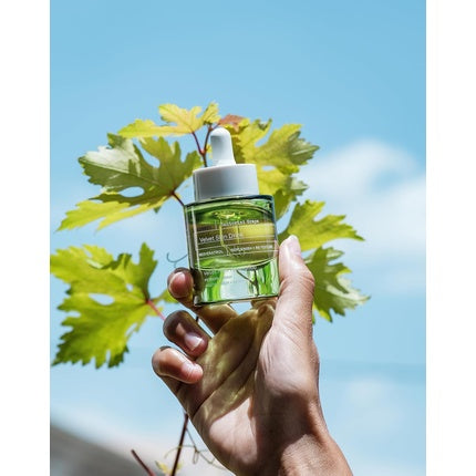 Serum, Korres, Santorini Grape, verde, 30ml