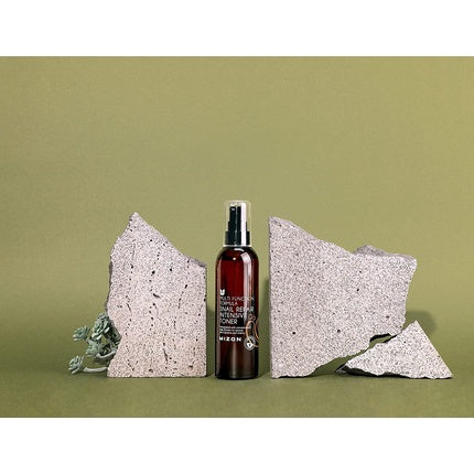 Toner facial, Mizon, Snail Repair, maro, 100 ml