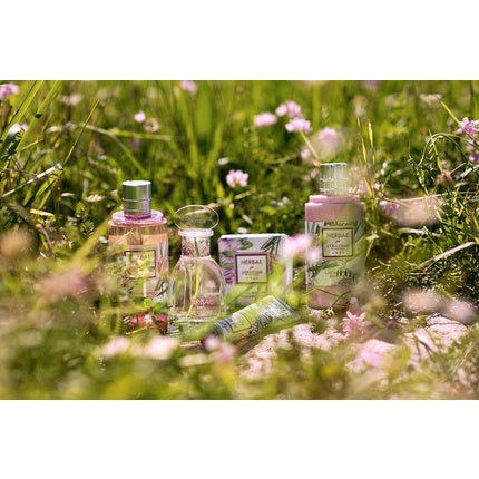 Lapte de corp, L'Occitane, Herbae L'Eau, 250ml