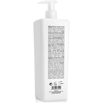 Condiționer Framesi New Morphosis Color Protect 1000ml