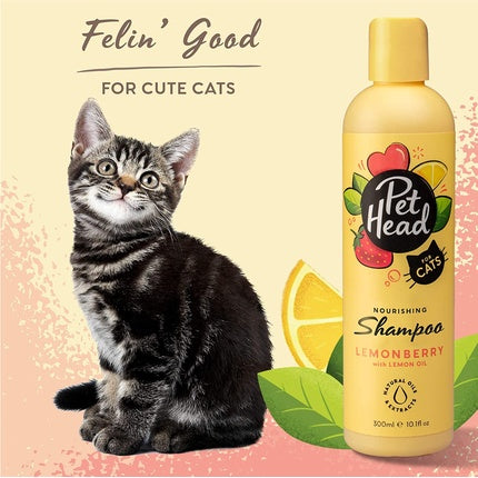 Șampon pentru pisici Pet Head, Felin' Good, 305 ml