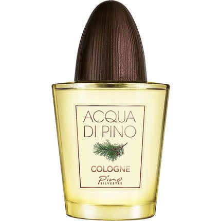 Pino Silvestre Acqua di Pino Eau de Toilette 125ml