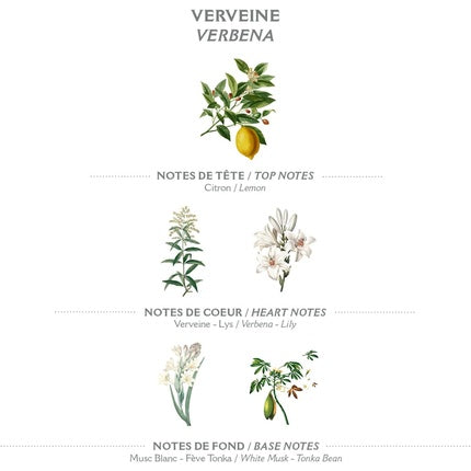 Parfum Panier Des Sens, Verbena, 50mL