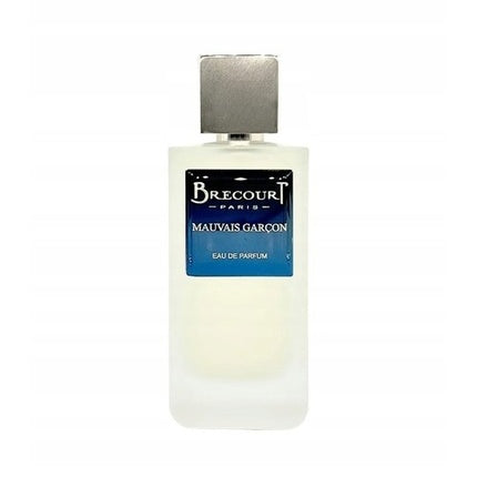 Brecourt Bad Boy Eau De Parfum 100ml