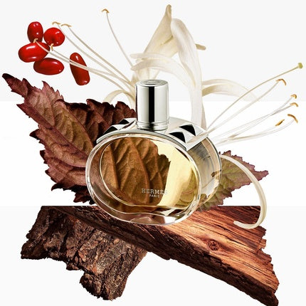 Parfum Hermès Barenia 30 ml, transparent