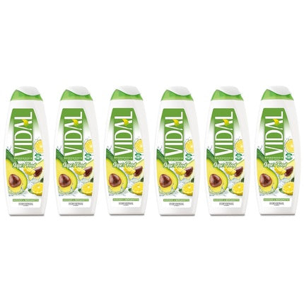 Gel de duș, Conter Vidal, Avocado și Bergamotă, 500ml