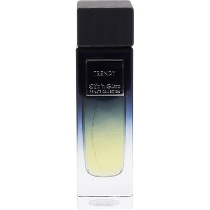 Parfum Masculin, Chic & Glam, Trendy Private Collection, 3.3 Oz, EDP Spray