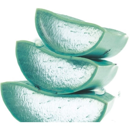 Apa micelara, Garnier Hyaluronic Aloe, 400ml