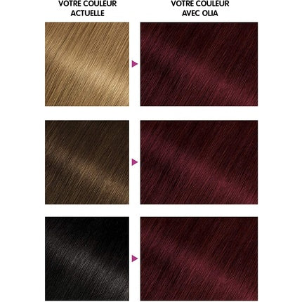 Garnier Olia, Vopsea de păr permanentă fără amoniac, 4.62 Crimson Velvet, uleiuri florale naturale