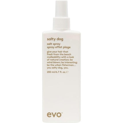 Spray Texturizant și Volum Evo Salty Dog, 200ml