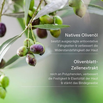 Gel de duș Korres Olive Rosemary Flower, 250ml, verde